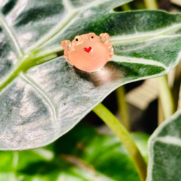 - 🍃20 pack plant magnets🍃 - Picture 13 of 15